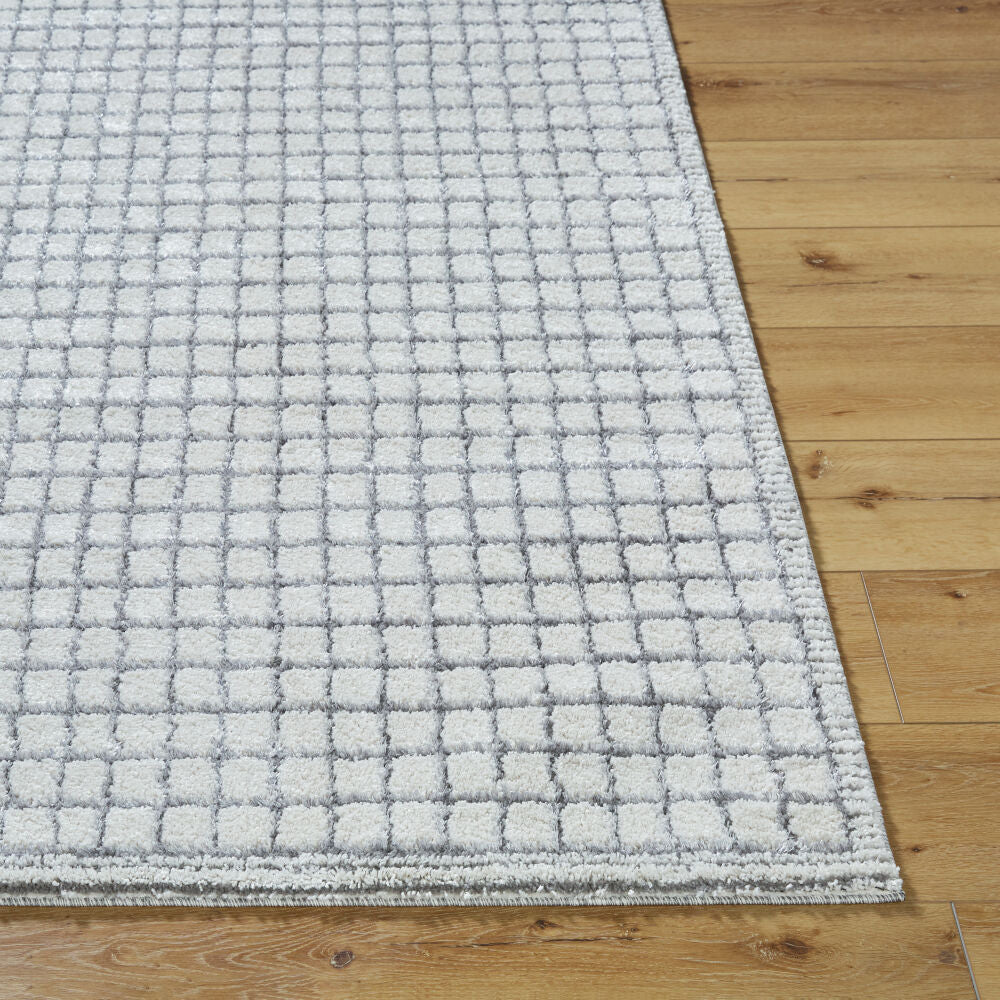 Livabliss by Surya ARP-2309 Andorra Plus Machine Woven Rug