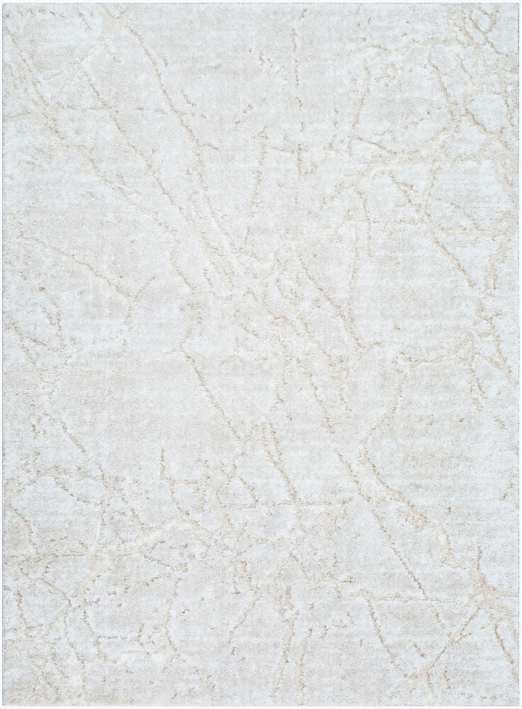 Livabliss by Surya ARP-2312 Andorra Plus Machine Woven Rug