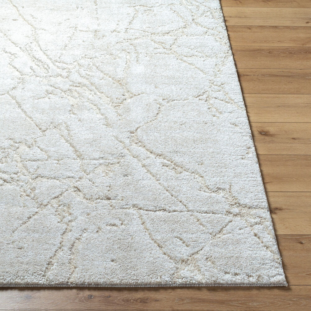 Livabliss by Surya ARP-2312 Andorra Plus Machine Woven Rug