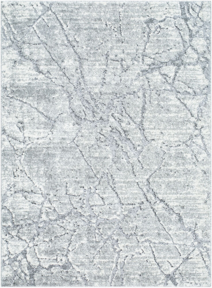 Livabliss by Surya Andorra Plus ARP-2313 Machine Woven Rug