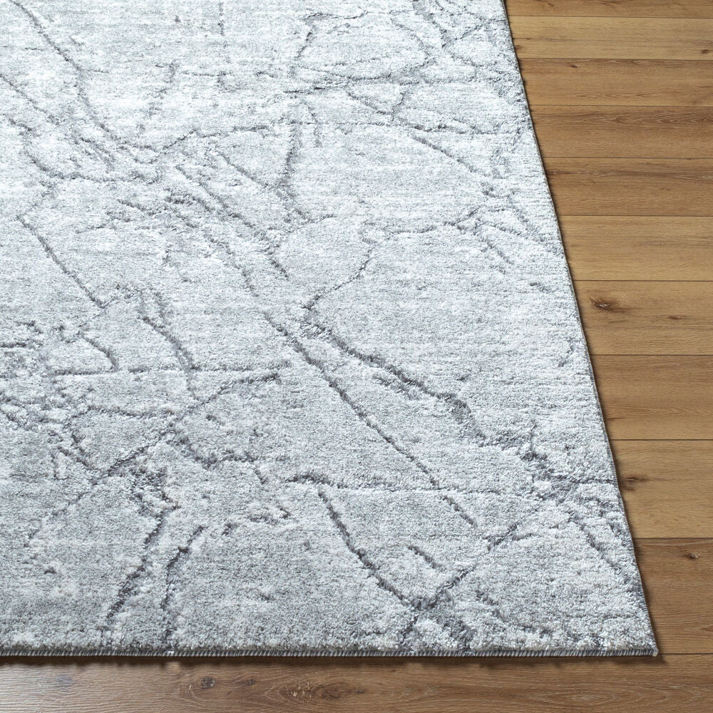 Livabliss by Surya Andorra Plus ARP-2313 Machine Woven Rug