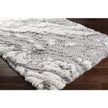 Livabliss by Surya Alta shag ASG-2301 Rug