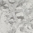 Livabliss by Surya Alta shag ASG-2302 Rug