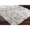Livabliss by Surya Alta shag ASG-2305 Rug