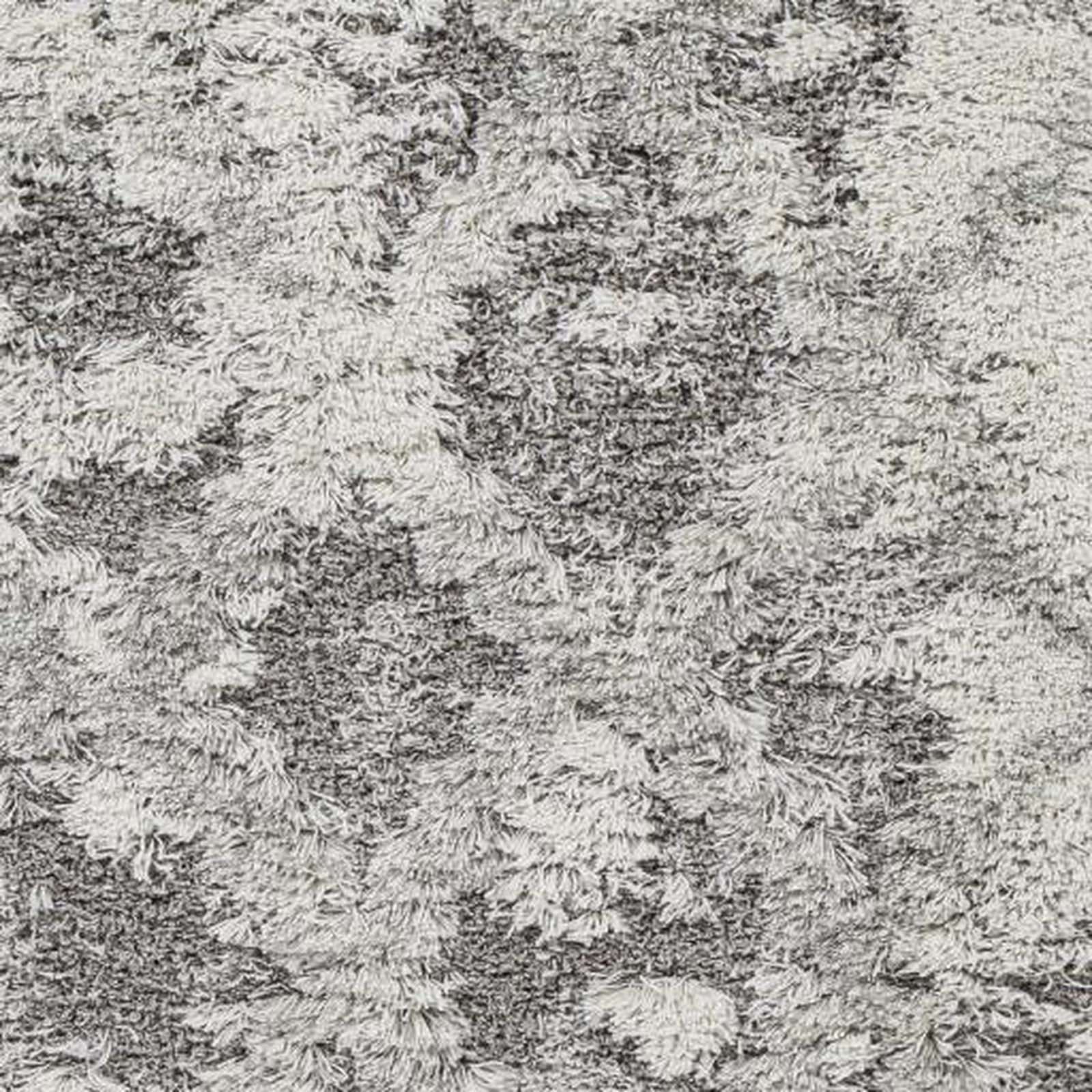 Livabliss by Surya Alta shag ASG-2305 Rug