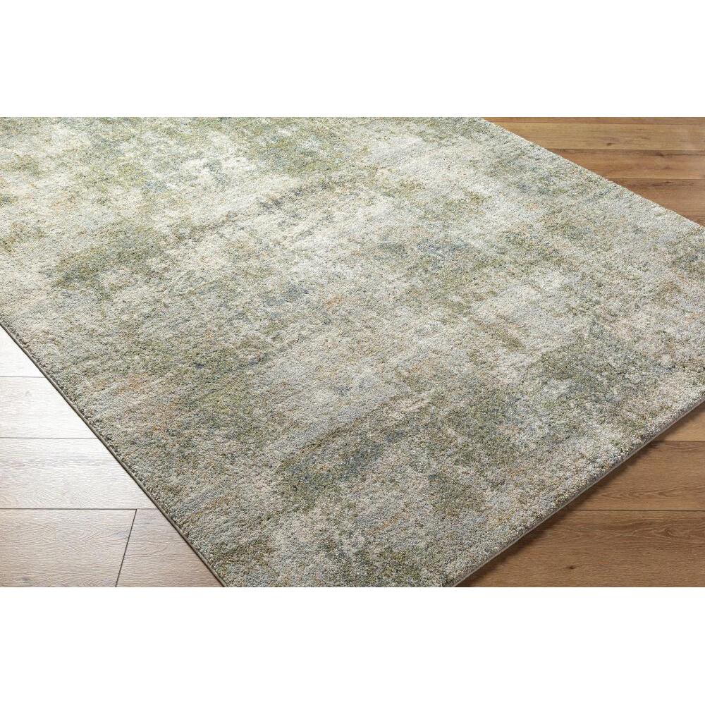 Livabliss by Surya Avellino AVL-2336 Machine Woven Rug