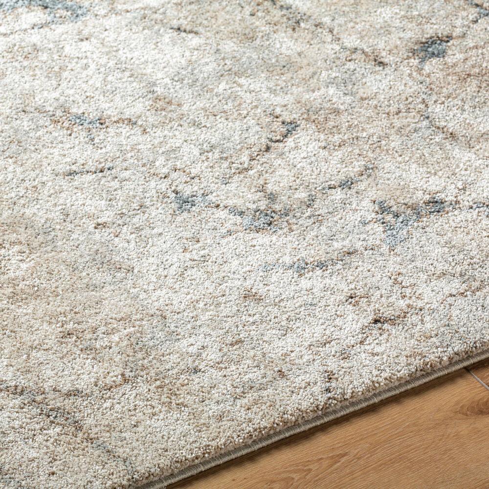 Livabliss by Surya Avellino AVL-2339 Machine Woven Rug