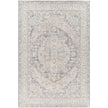 Livabliss by Surya Avant Garde AVT-2337 Machine Woven Rug