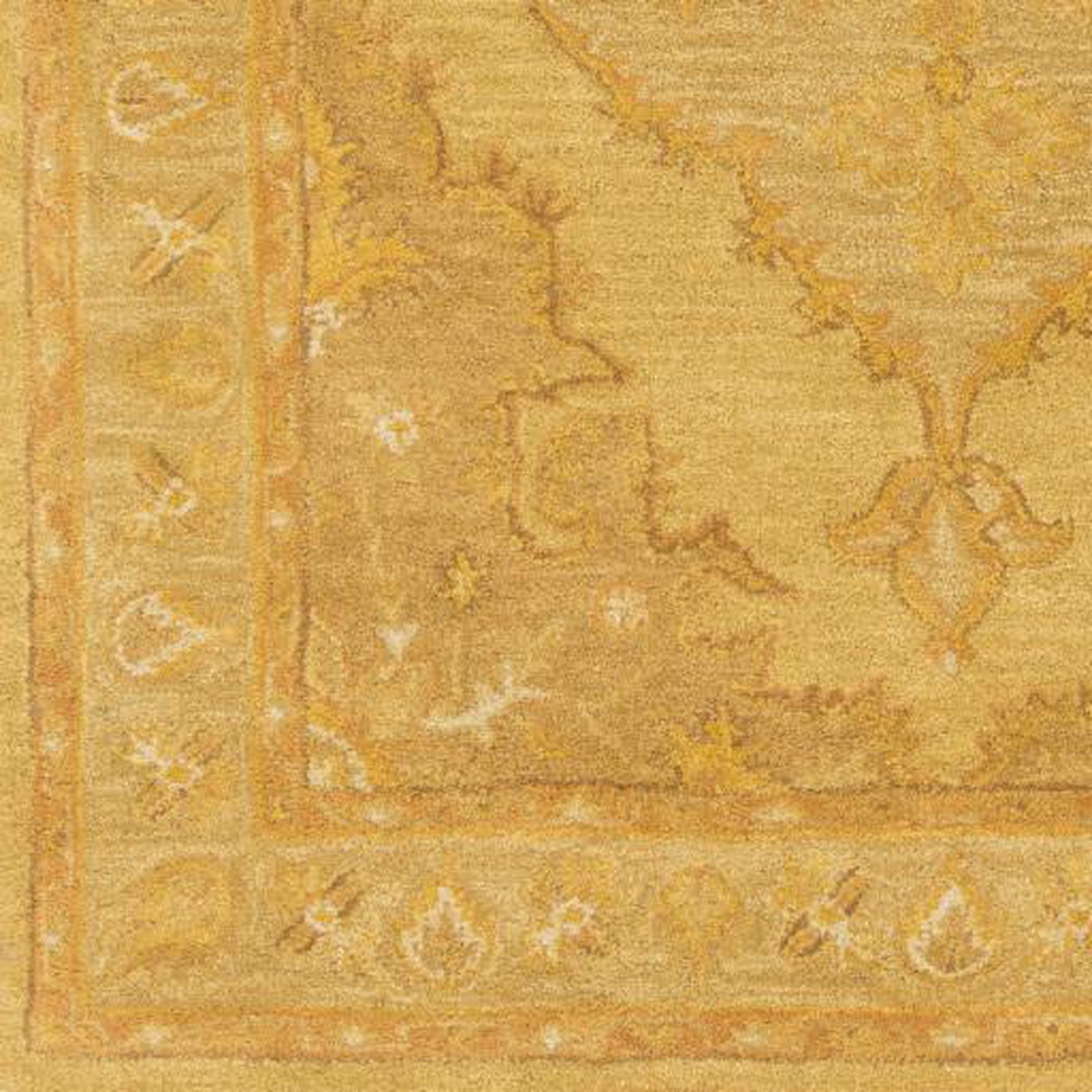 Livabliss by Surya Middleton AWHR-2059 Rug