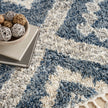 Nourison Oslo Shag OSL02 Shag Indoor Rug