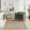 Nourison Sahar SHR01 Vintage Indoor Rug