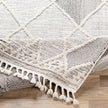 Livabliss by Surya Azilal AZI-2304 Machine Woven Rug