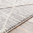 Livabliss by Surya Azilal AZI-2304 Machine Woven Rug