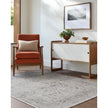Livabliss by Surya Azhar AZR-2302 Machine Woven Rug