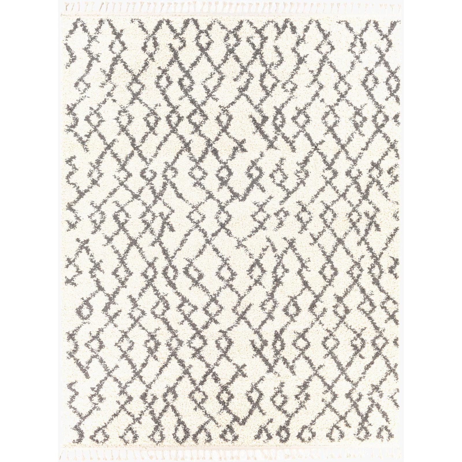 Livabliss by Surya Berber Shag BBE-2301 Rug Clearance