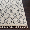 Livabliss by Surya Berber Shag BBE-2301 Rug Clearance