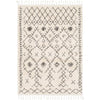 Livabliss by Surya Berber Shag BBE-2302 Rug Clearance