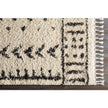 Livabliss by Surya Berber Shag BBE-2311 Rug