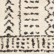 Livabliss by Surya Berber Shag BBE-2311 Rug