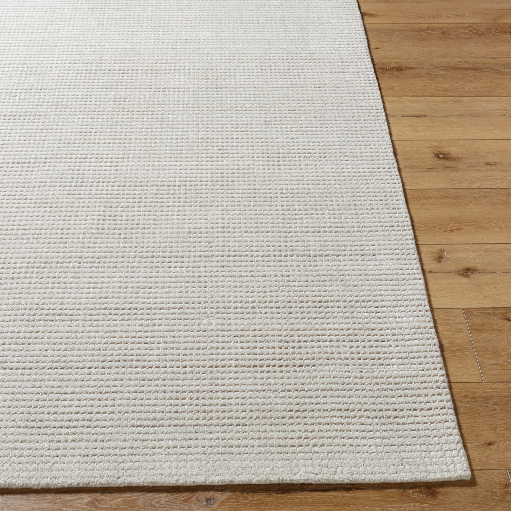 Surya Boston BBT-2306 Handmade Rug