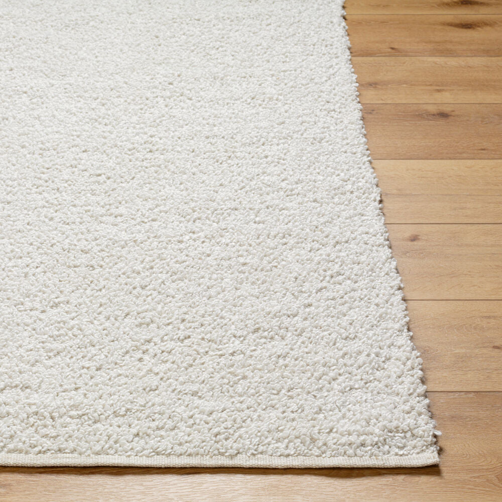 Surya Boculette BCT-2300 Handmade Rug