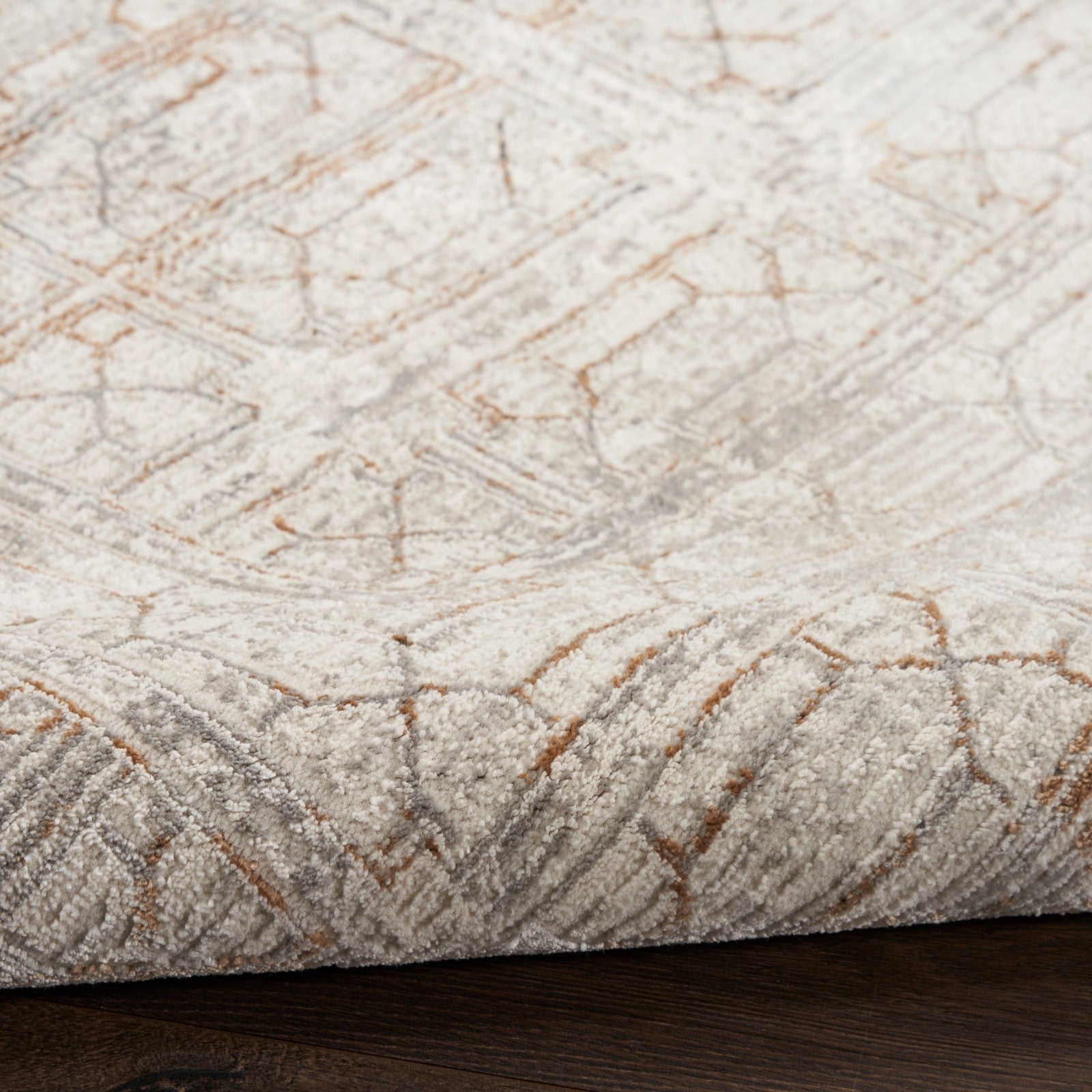 Nourison Desire DSR07 Modern Indoor Rug