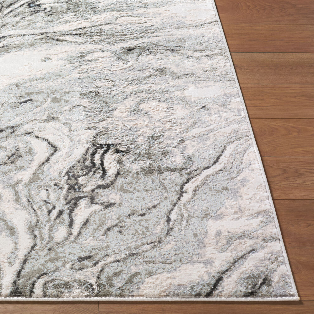 Livabliss by Surya Amman BTA-2301 Machine Woven Rug