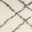 Nourison Dreamy Shag DRS07 Shag Indoor Rug
