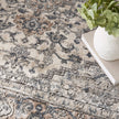 Nourison Quarry QUA05 Farmhouse Indoor Rug