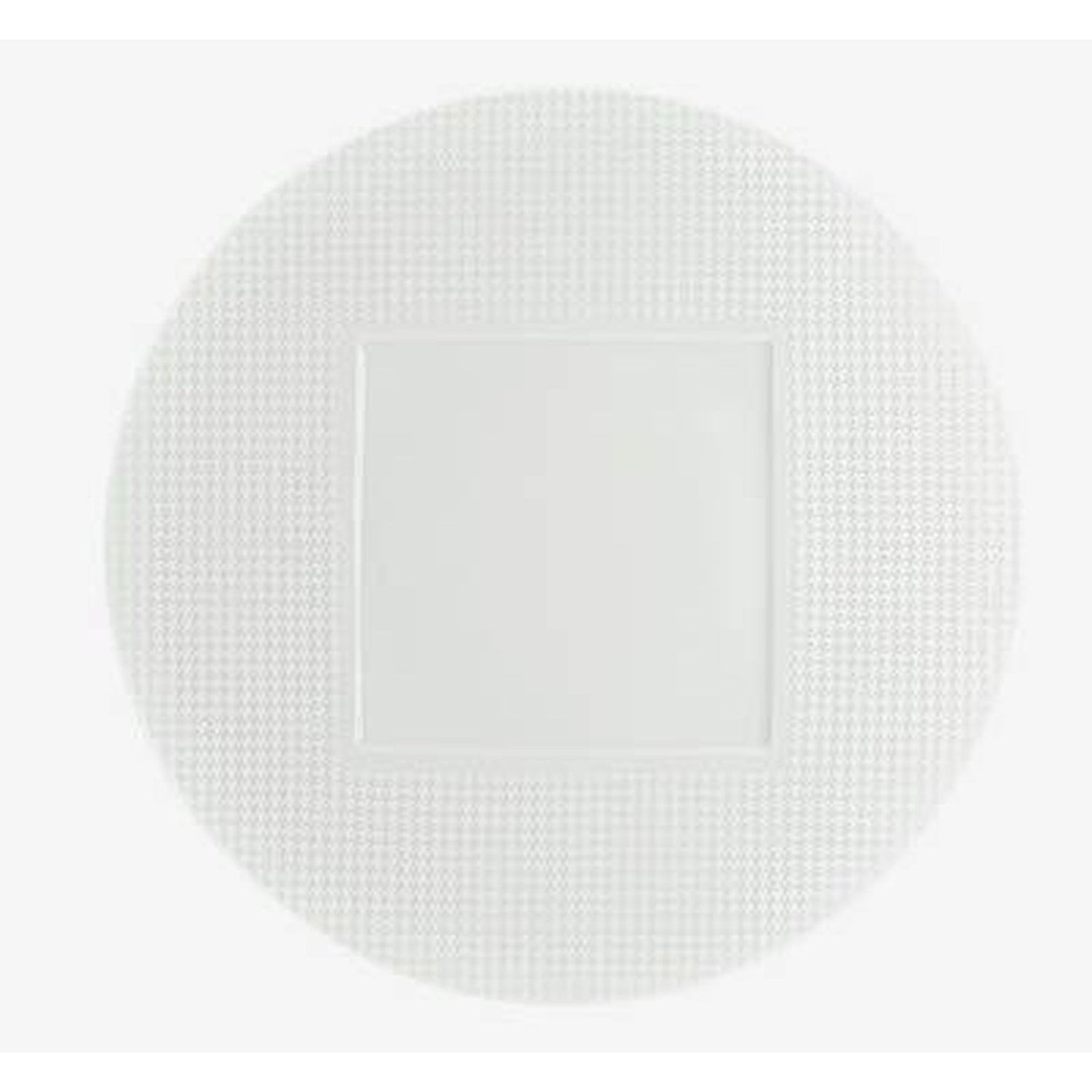 Raynaud Checks American Dinner Plate Square Center