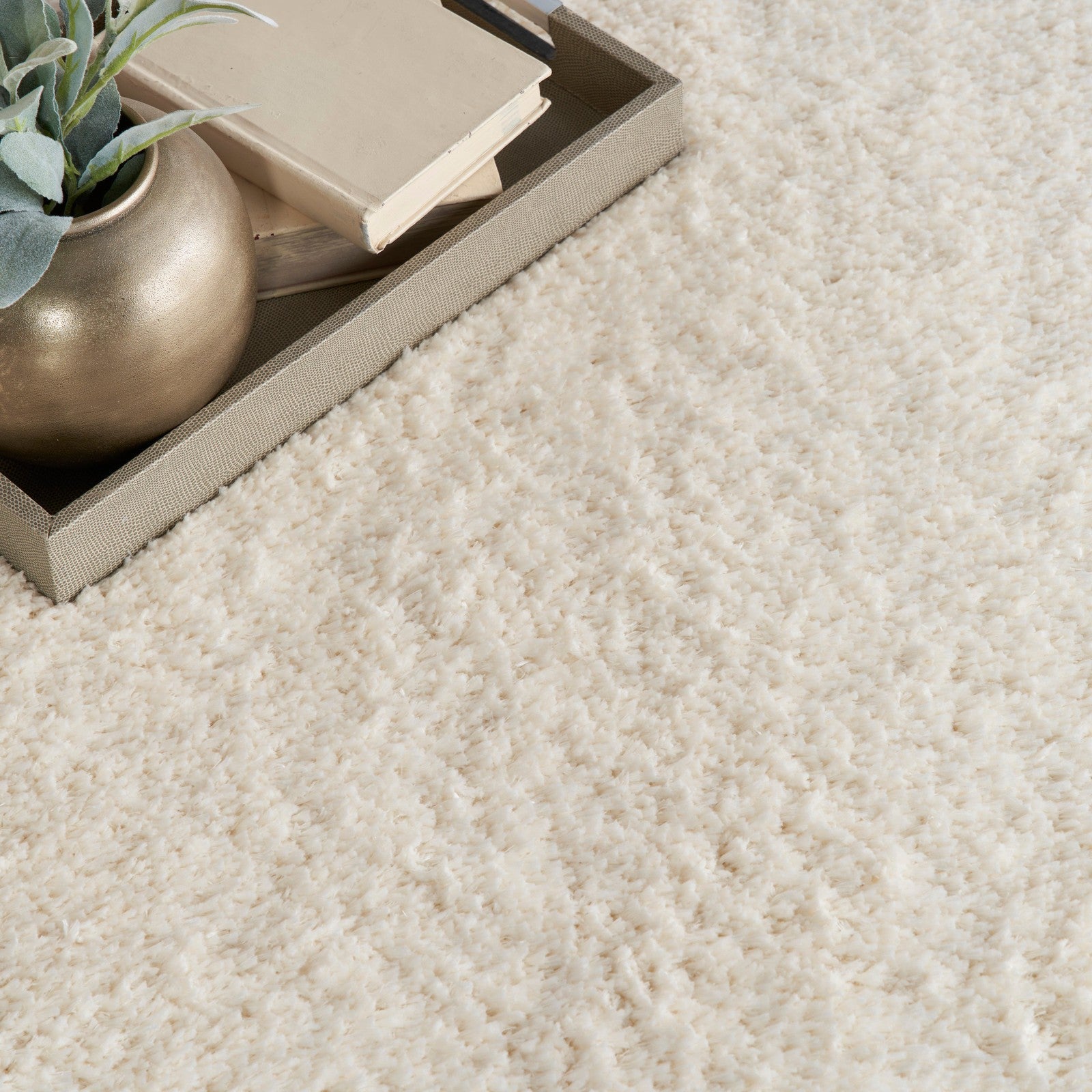Nourison Dreamy Shag DRS05 Shag Indoor Rug