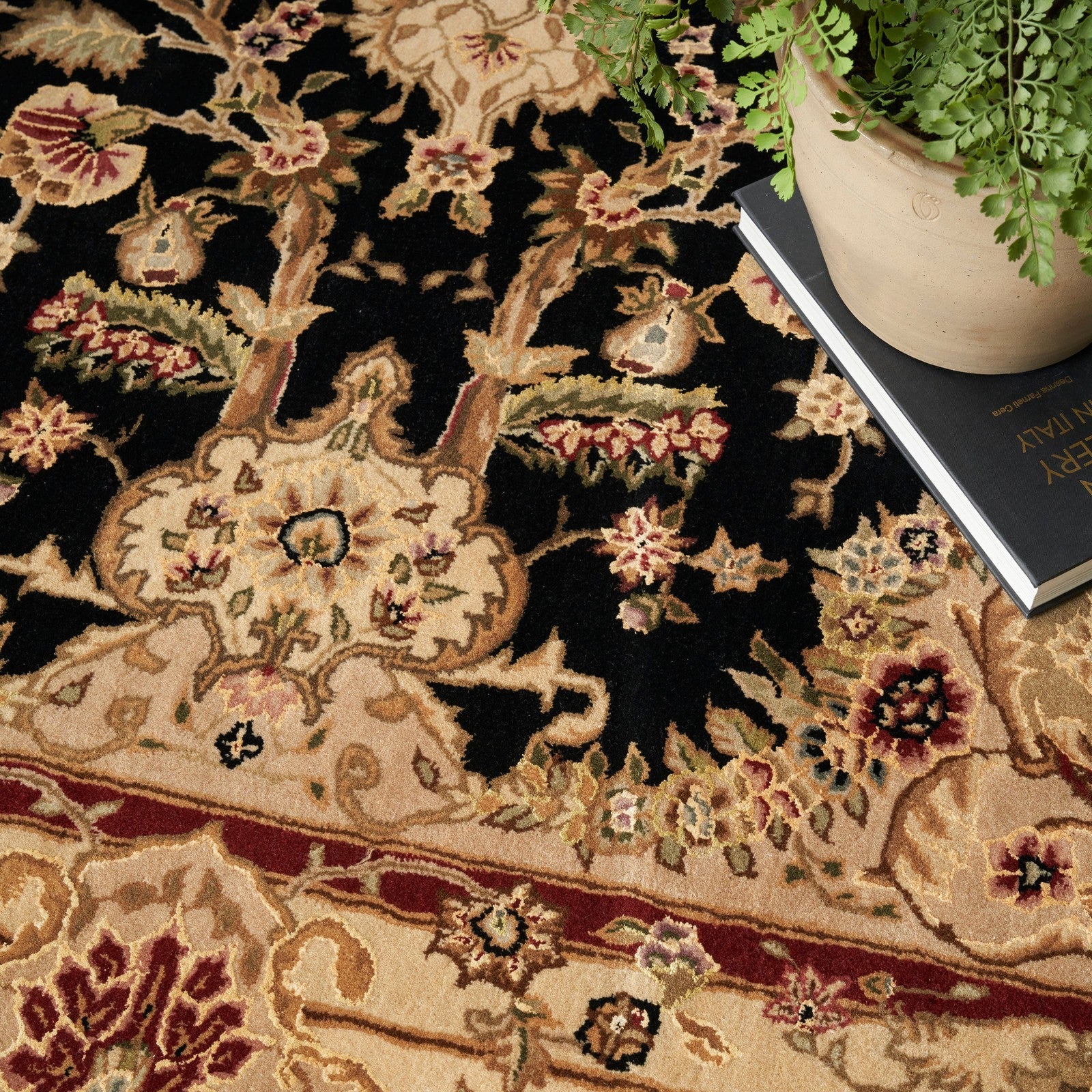 Nourison 2000 2028 Traditional Indoor Rug