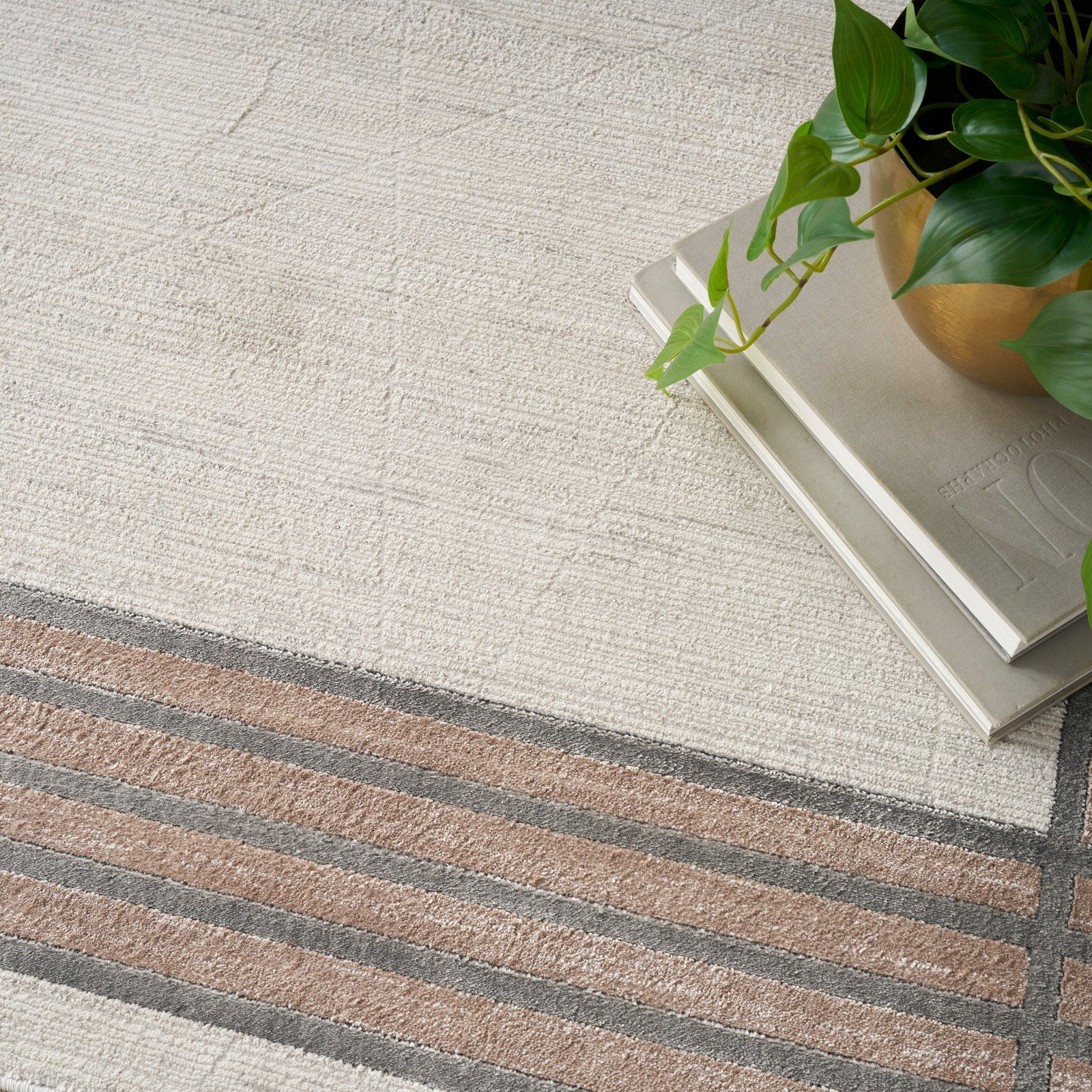 Nourison Desire DSR01 Modern Indoor Rug