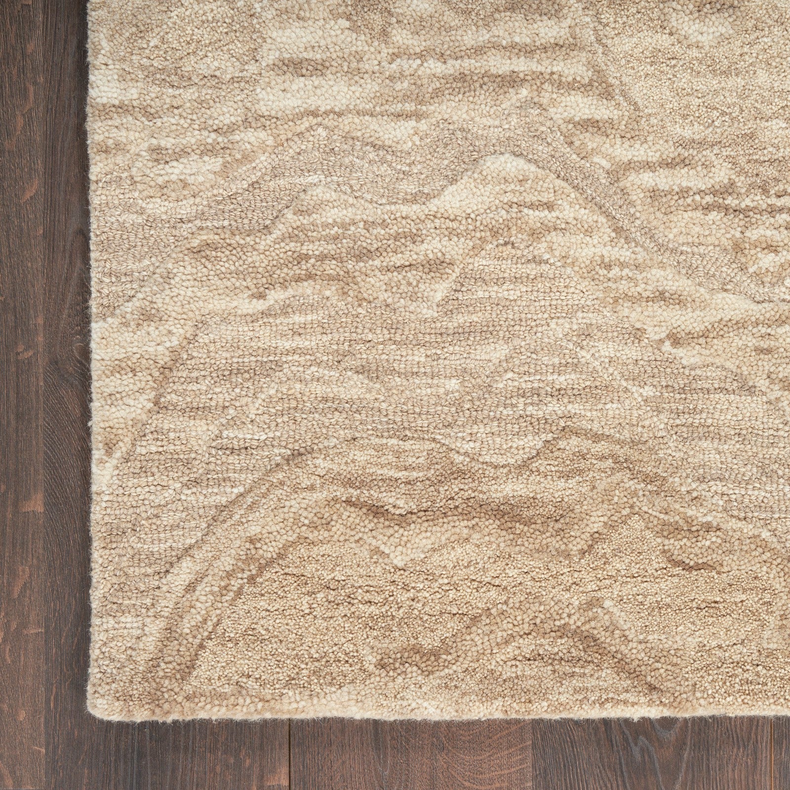 Nourison Graceful GRU01 Modern Indoor Rug