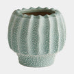 Global Views Echinus Vase