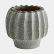 Global Views Echinus Vase