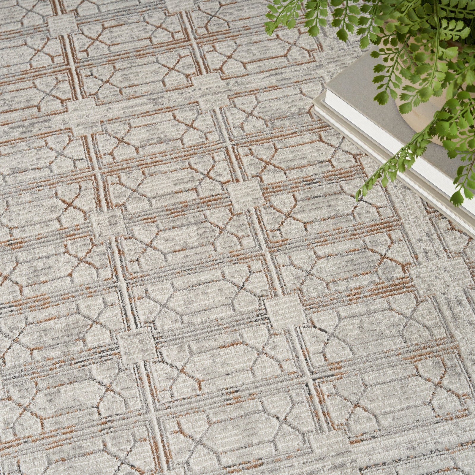 Nourison Desire DSR07 Modern Indoor Rug