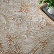 Nourison Infinite IFT01 Vintage Indoor Rug