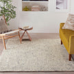 Nourison Colorado CLR04 Modern Indoor Rug