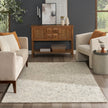 Nourison Colorado CLR05 Modern Indoor Rug