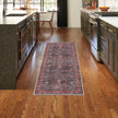 Nourison Grand Washables GRW02 Vintage Indoor Rug