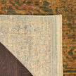 Nourison Luxurious LRS01 Vintage Indoor Rug