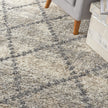 Nourison Oslo Shag OSL01 Shag Indoor Rug