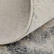 Feizy Astra 39L3F Rug