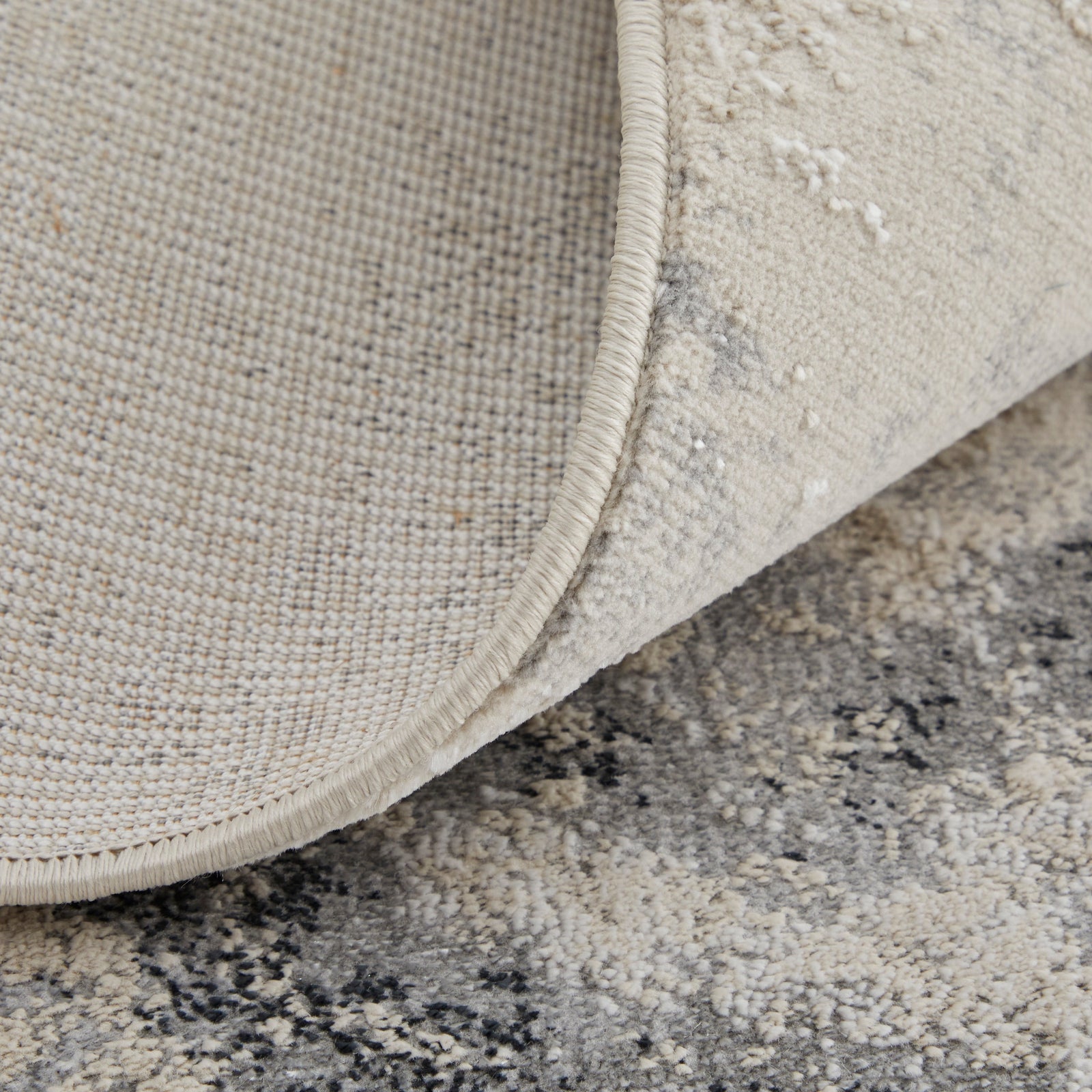 Feizy Astra 39L3F Rug