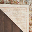 Nourison Sahar SHR01 Vintage Indoor Rug