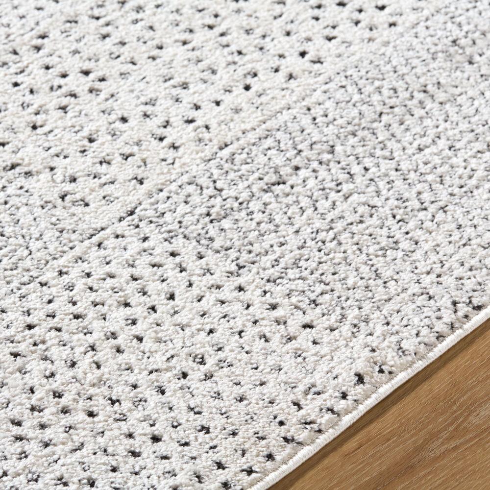 Livabliss by Surya Architect GAAR-2302 Machine Woven Rug