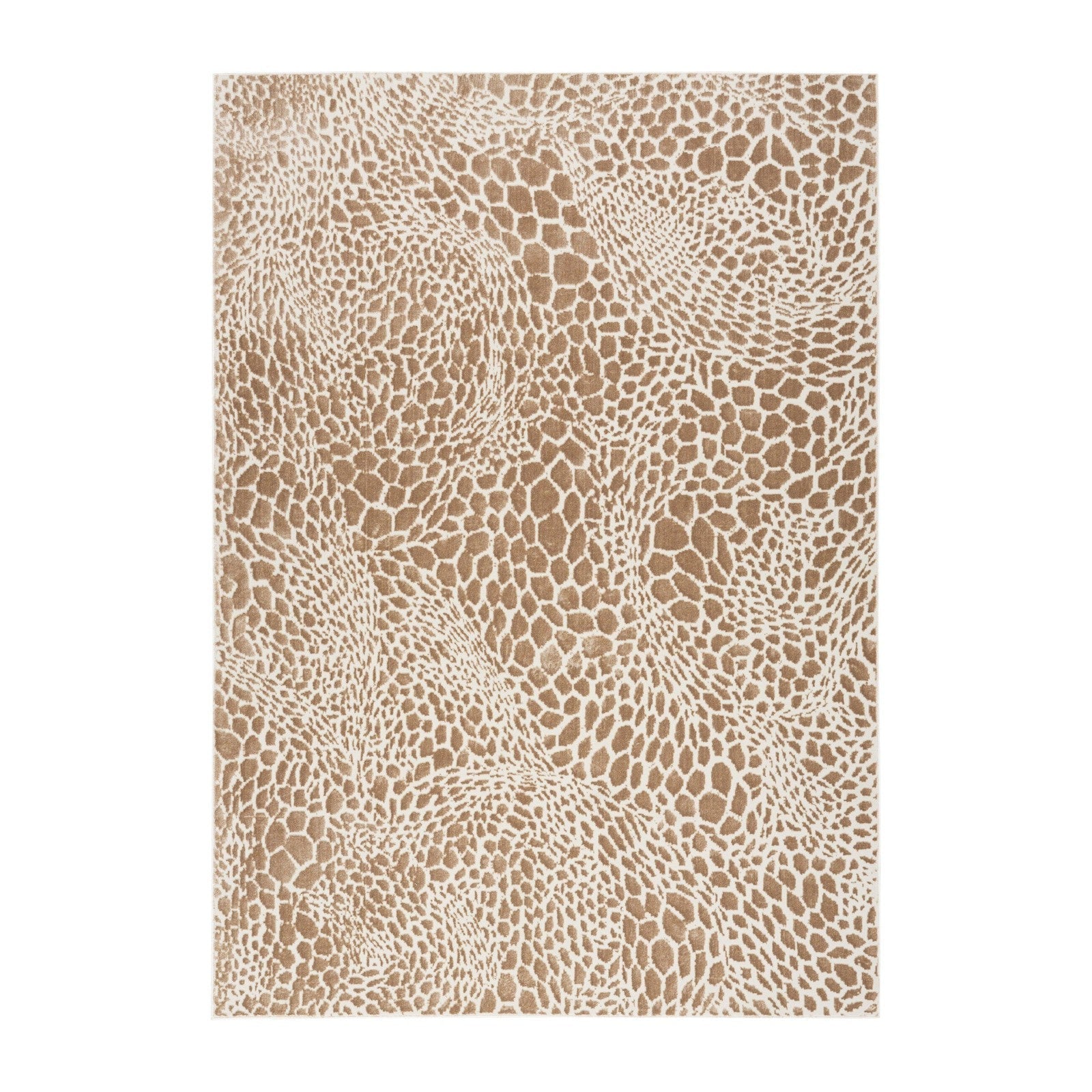 Nourison Desire DSR08 Modern Indoor Rug