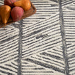 Nourison Colorado CLR01 Modern Indoor Rug