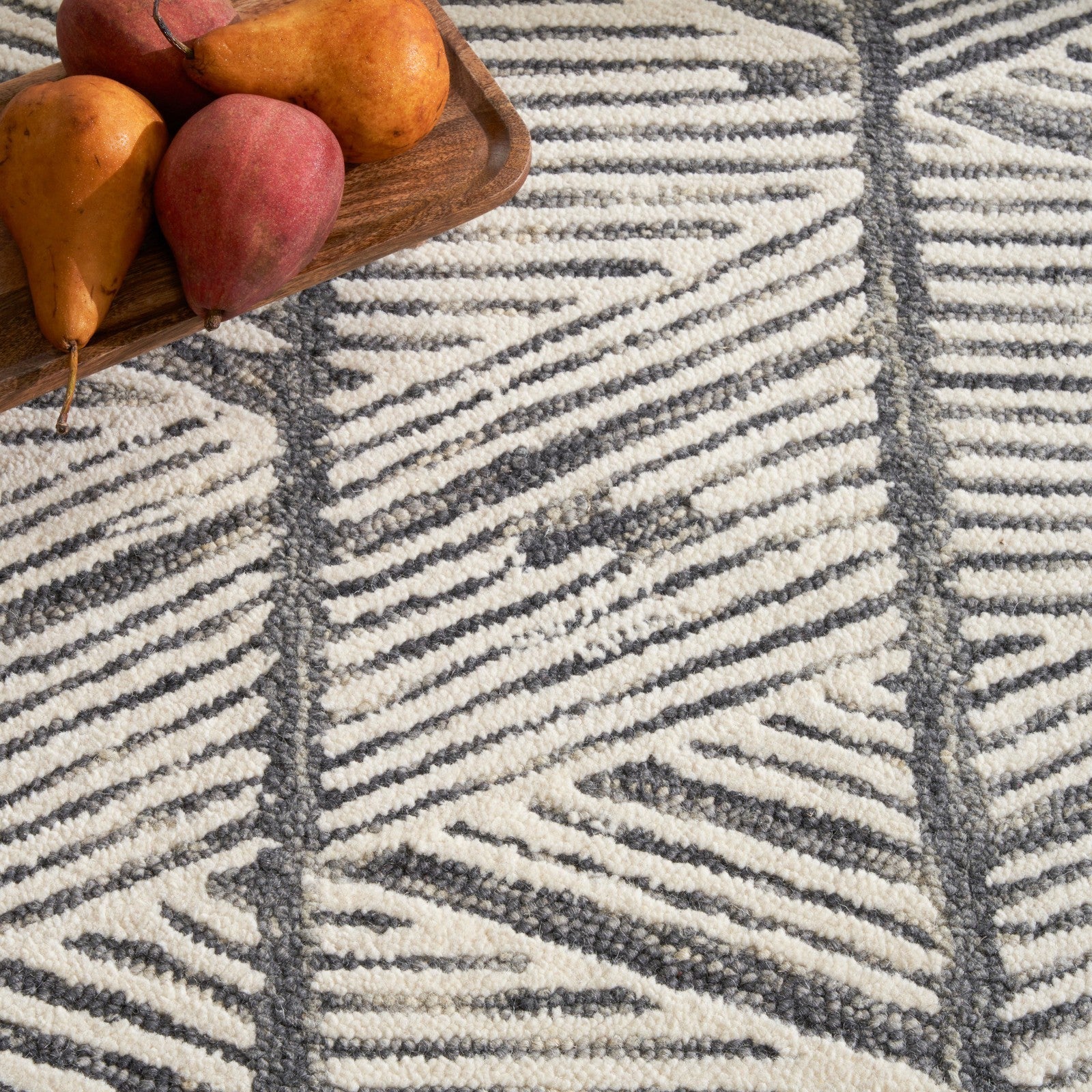 Nourison Colorado CLR01 Modern Indoor Rug